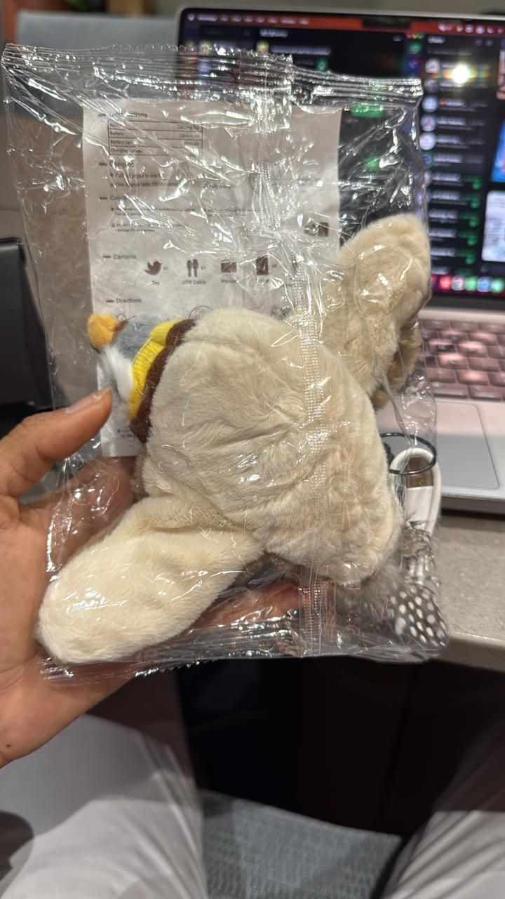 FLAPPING CAT TOY