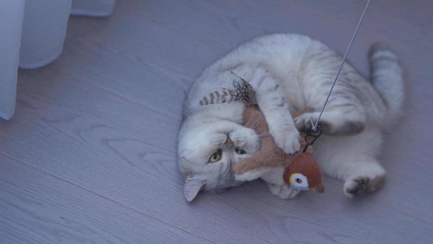 FLAPPING CAT TOY